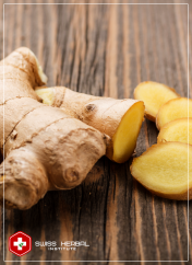 Imbir Zingiber officinale